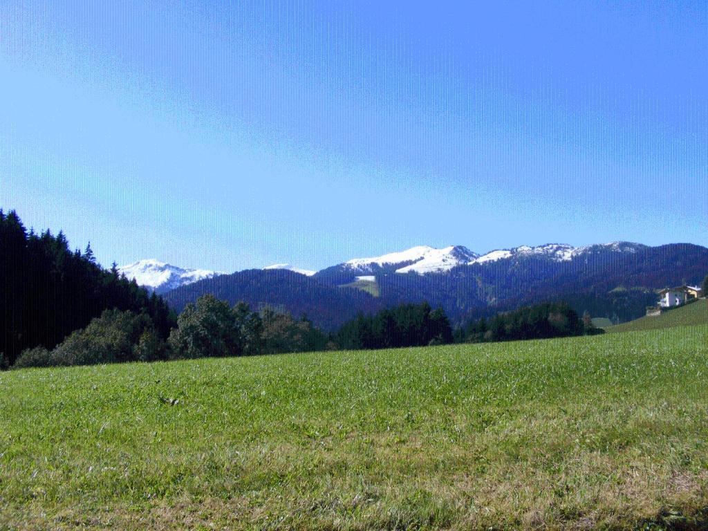 Landgasthof Dorferwirt Oberau Habitación foto